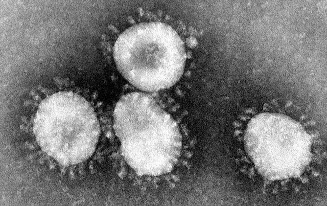 coronavirus_wikimedia_cc-640x403.jpg